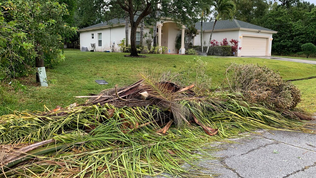 Hurricane & Storm Cleanup: How to Prepare Your Yard in Charleston